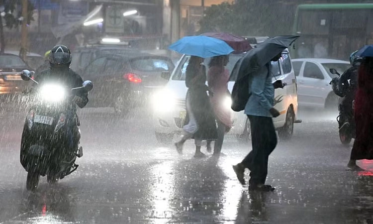 Rain Alert: ರಾಜ್ಯದ 13 ಜಿಲ್ಲೆಗಳಲ್ಲಿ ಅ.21ರವರೆಗೆ ಭಾರೀ ಮಳೆ?